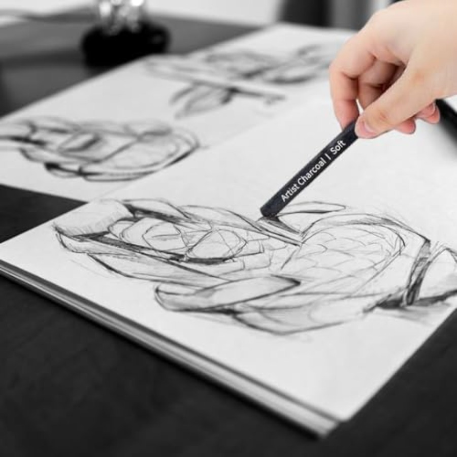 Compressed Charcoal Sticks 6 P - Rubber Eraser Kneaded のレビューと価格